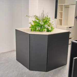 Pentagonal Corner Cabinet